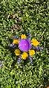 bougie violette moyenne.webp